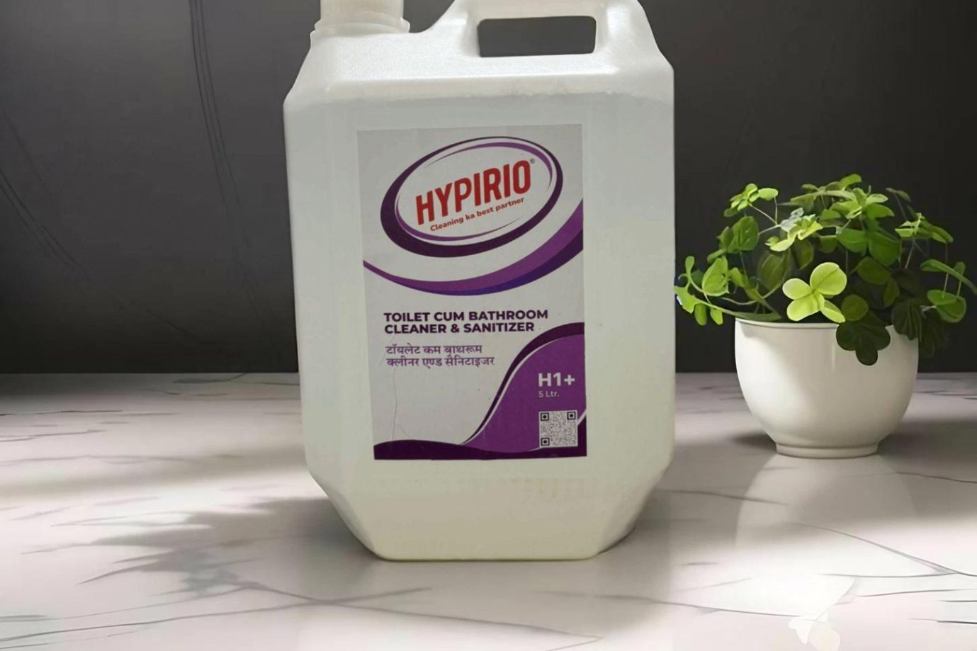 WhatsApp-Image-2026-02-09-at-5.24.50-PM1